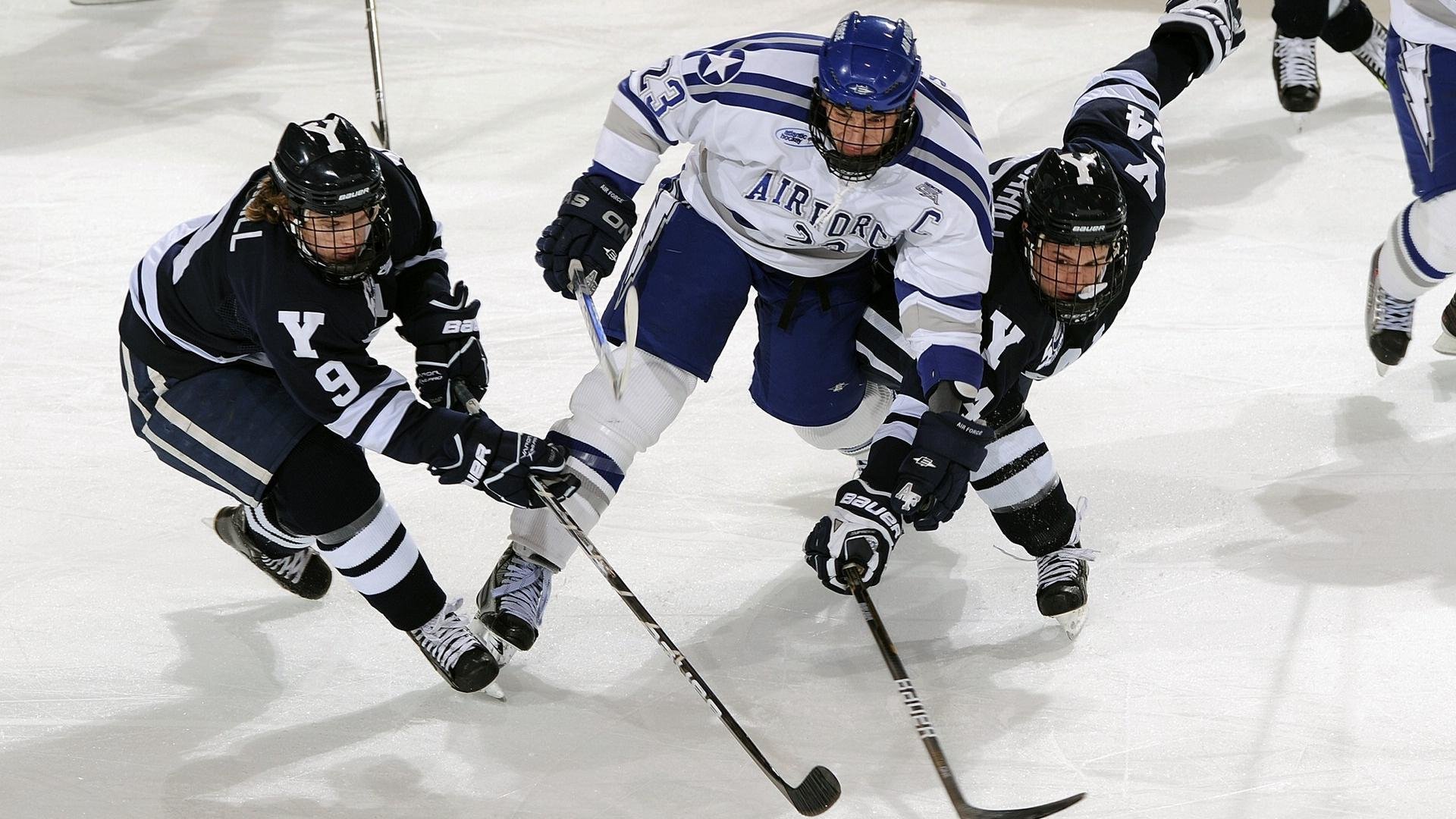 _湿地赛场：别样风景中的激烈角逐_，2020湿地主题绘画大赛