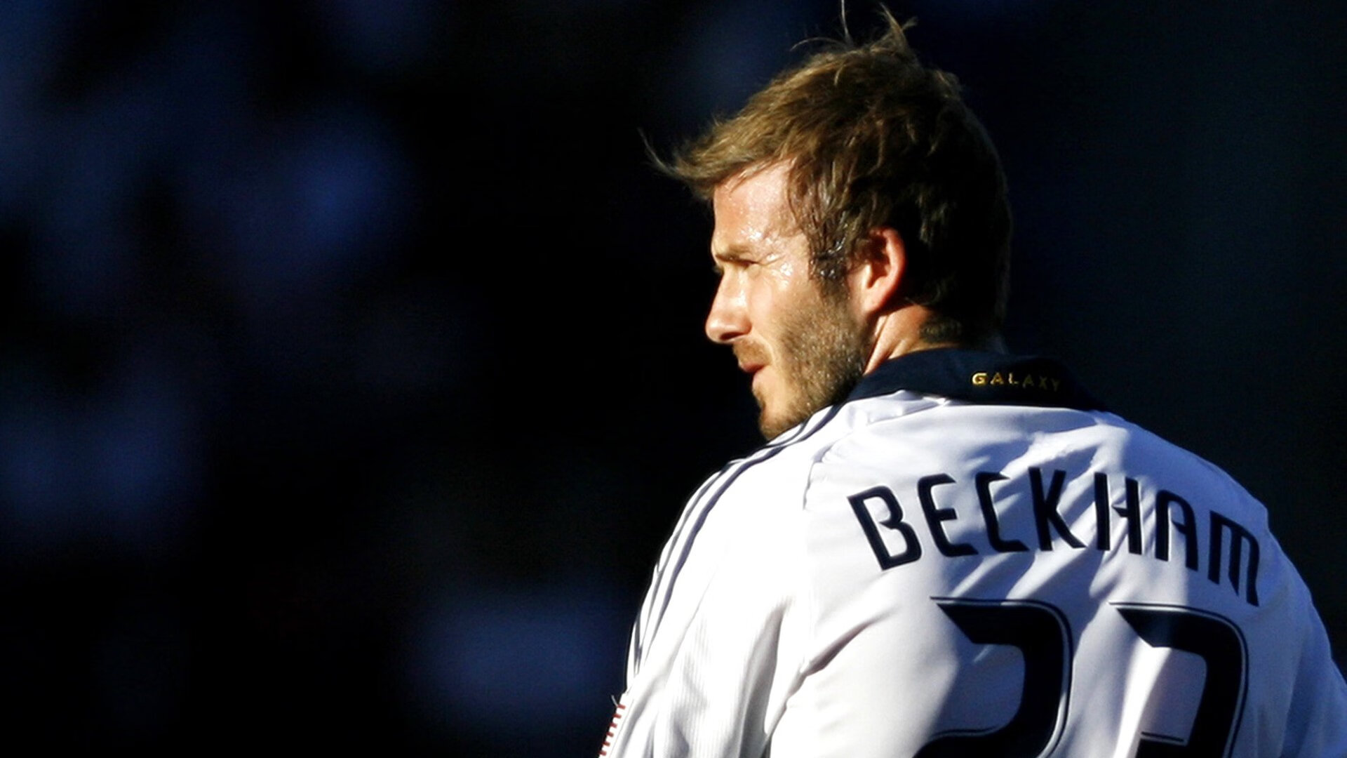 _湿地赛场：别样风景中的激烈角逐_，2020湿地主题绘画大赛