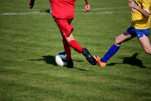 九游9游-体育文化节活动预告，体育文化节活动流程